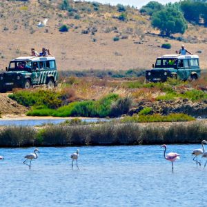 P1130829-Edit-1280x1280